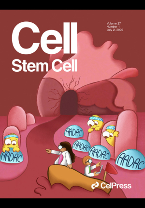CELL-STEM-CELL-JULY.jpg