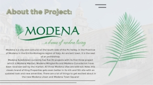 Modena-Brand-Guide-03.jpg