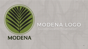 Modena-Brand-Guide-09.jpg