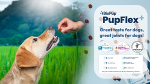 BioPup_PupFlex-_Ad1_16x9.png