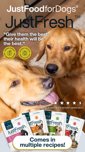 JustFoodforDogs_Ad1_9x16.png